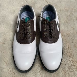 Dryjoys Footjoy Golf Shoe
